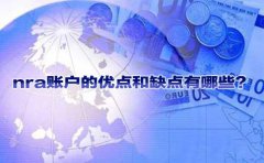 nra賬戶的優(yōu)點(diǎn)和缺點(diǎn)有哪些？