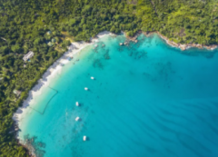 注冊塞舌公司類型及優(yōu)勢有哪些？