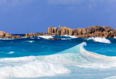 塞舌爾公司逾期年審有什么后果？