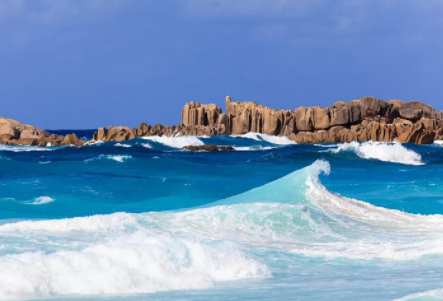 塞舌爾公司逾期年審有什么后果？