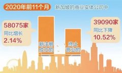 增長！增長！疫情背景下新加坡公司新注冊數(shù)量逆勢增長！