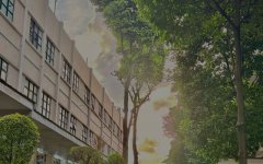 柬埔寨開工廠，難度究竟藏在哪?