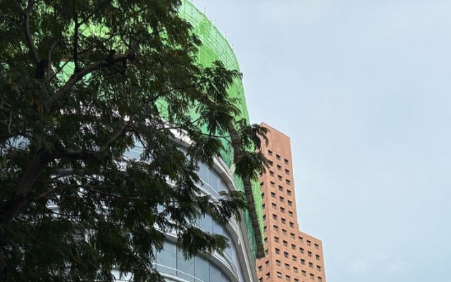 馬來西亞擔(dān)任公司董事的條件全解析