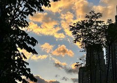 注冊(cè)毛里求斯公司所需文件詳解