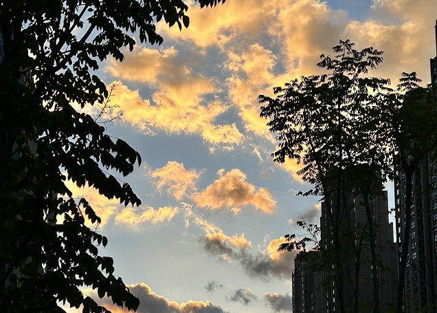 韓國公司年審逾期應(yīng)對策略與風險規(guī)避指南