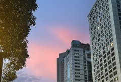 2026保加利亞公司注冊全流程指南